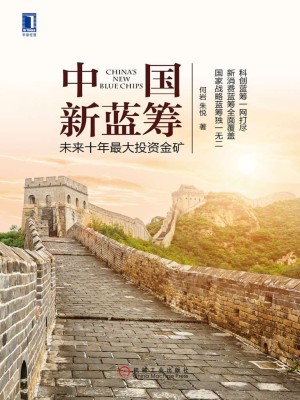《中国新蓝筹：未来十年最大投资金矿》pdf电子书下载