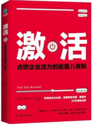 《激活：点燃企业活力的能量八原则》pdf电子书免费下载