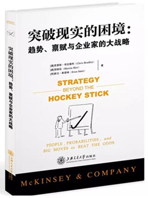 《突破现实的困境：趋势、禀赋与企业家的大战略》pdf图书下载