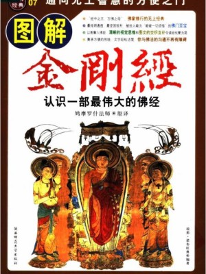 《图解金刚经：认识一部最伟大的佛经》PDF电子书下载